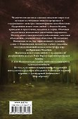 Минск 2200. Принцип подобия - 1