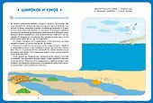 Развитие речи с играми и заданиями (3-4 года) - 2