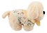 Мягкая игрушка Собачка бежевая в кофточке (21см) (12-202603-MSHN10_0960-D-642) - 1