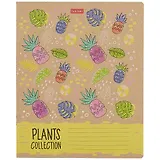 Тетрадь в клетку Hatber, "Ботаника", 18 листов, в ассортименте