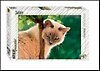 Пазл Step puzzle/Степ Пазл 560эл., 50*34см Синеглазая красавица" 78080"