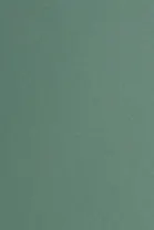 Картон цветной А2 зеленый тонированный, 200г/м2, Гознак