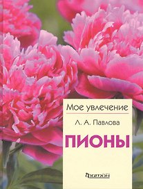 Пионы