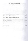Бортпроводница - 2