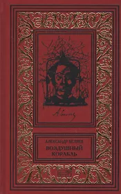 Воздушный корабль