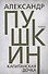 Капитанская дочка - 0