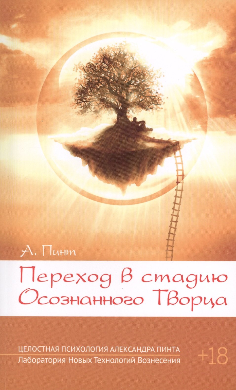 

Переход в стадию Осознанного Творца