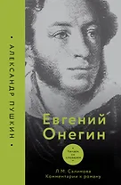 Евгений Онегин. Читаем со словарем. Комментарии к роману