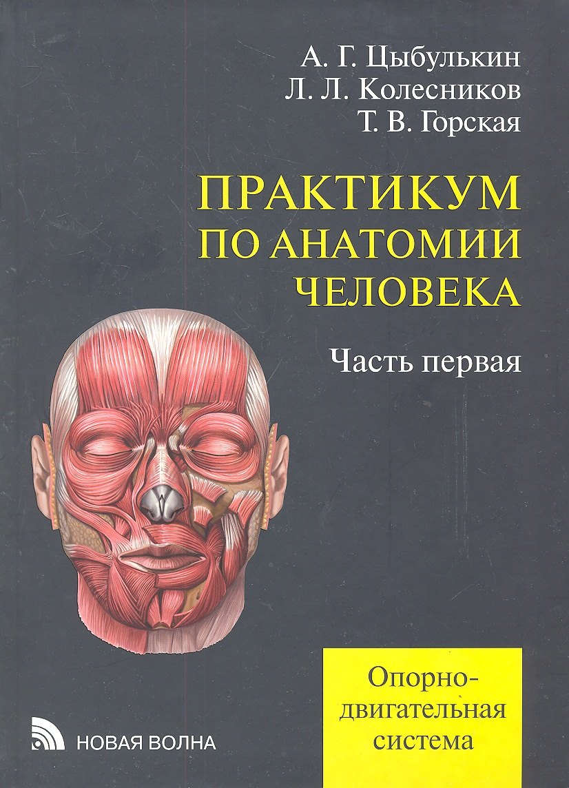 

Практикум по анатомии человека. В четырех частях. Часть первая. Опорно-двигательная система