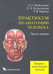 Практикум по анатомии человека. В четырех частях. Часть первая. Опорно-двигательная система