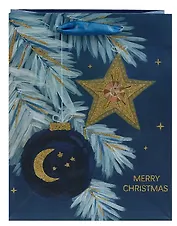 Пакет А5 23*18*10 "Зимнее чудо" Новый год, бум.мат