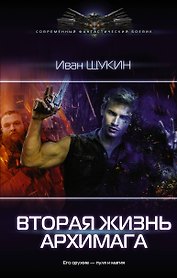 Вторая жизнь архимага