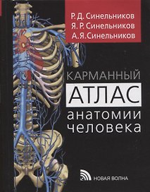 Карманный атлас анатомии человека