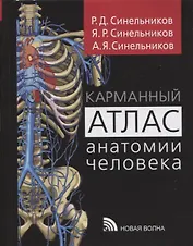 Карманный атлас анатомии человека