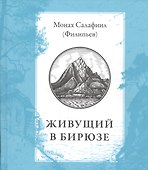 Живущий в бирюзе - 0