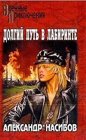 Долгий путь в лабиринте : роман