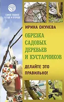 Обрезка садовых деревьев и кустарников. Делайте это правильно!