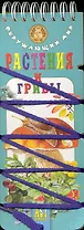 Волшебный шнурок. Окружающий мир. Растения и грибы.