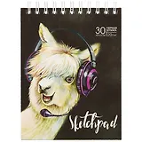 Скетчбук с чёрной бумагой «Альпака», 30 листов, А6