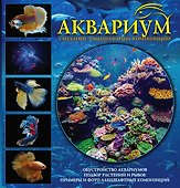 Аквариум. Создание ландшафтных композиций. Примеры и рекомендации - 0