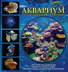 Аквариум. Создание ландшафтных композиций. Примеры и рекомендации