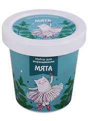 Набор для выращивания Мята (Котик-балерина) (НВ2018-02)