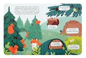 Кто в лесу живет. Книжка с окошками - 2