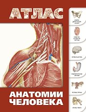 Атлас анатомии человека(инт.пер.)