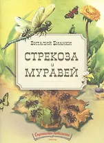 Стрекоза и муравей