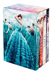 The Selection Set (комплект из 4 книг)