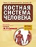 Костная система человека - 0