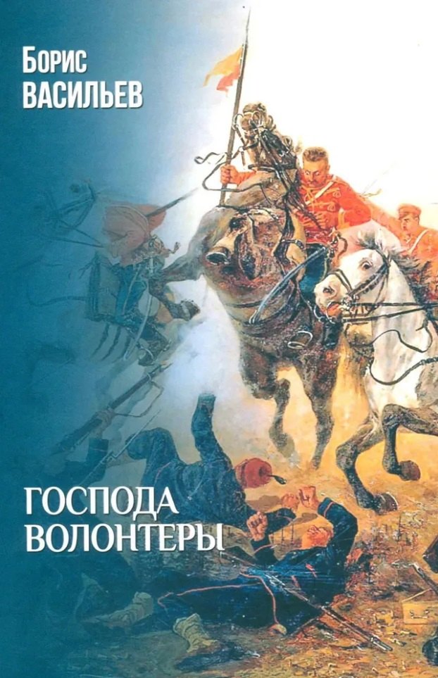 

Господа волонтеры: роман