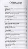 Иерусалимские рассказы. Записки паломницы - 1