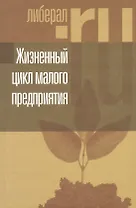 Жизненный цикл малого предприятия