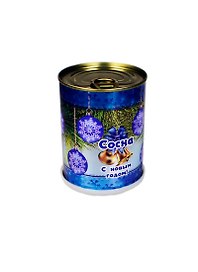 Растение в банке Новогодняя сосна