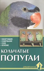 Кольчатые попугаи. Обзор видов, содержание, уход, лечение.