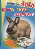 Книжка-лото. Кто что любит