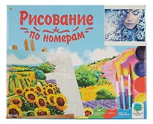 Картина-раскраска по номерам «Девушка в образе зимы», 40 х 50 см, Рыжий Кот