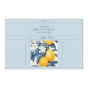 Альбом для рисования 40л А4 "Botanical Qoutes. Blue" склейка, мел.картон