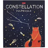 Папка-обложка для тетради со сменными блоками А5 "Приходи считать звезды" 2 кольца,мат.ламин. 3D фольга, ассорти