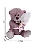 Игрушка мягкая Fluffy Family Мишка с букетом,  20см 681559 - 1