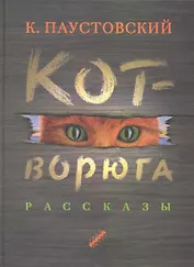 Кот-ворюга : рассказы