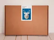 Набор для моделирования, PAPERHEAD, Полигональная модель оленя 1.0