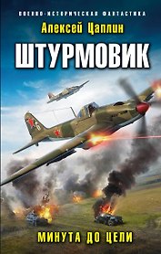 Штурмовик. Минута до цели