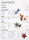 The Animal Book. A Visual Encyclopedia of Life on Earth - 1