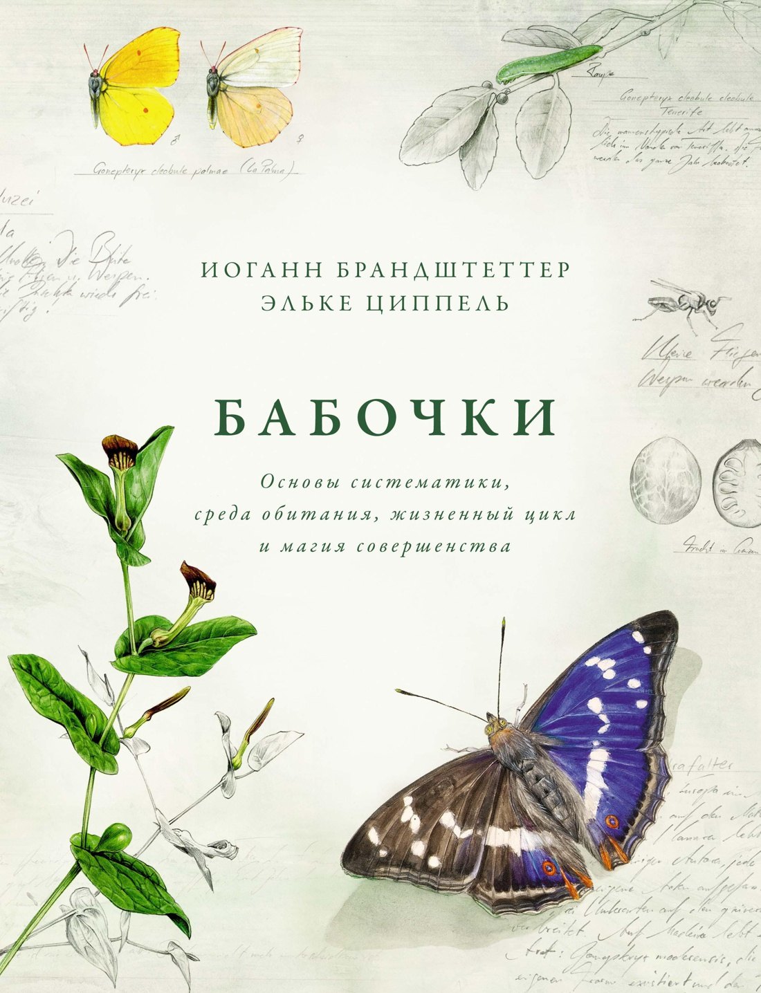

Бабочки. Основы систематики, среда обитания, жизненный цикл и магия совершенства