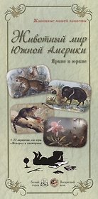 Животный мир Южной Америки. Яркие и юркие: 72 карточки для игры Мемори и викторины