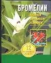 Бромели. Выбираем, выращиваем, ухаживаем - 0