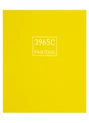 Книга для записей А5+ 96л лин. "Императорский лимон" интеграл.перепл., матов.ламин., выб.лак