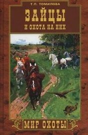 Зайцы и охота на них